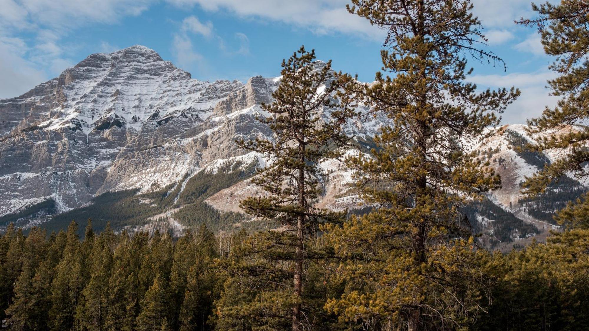 Hotel Skyridge Glamping Kananaskis Exterior foto